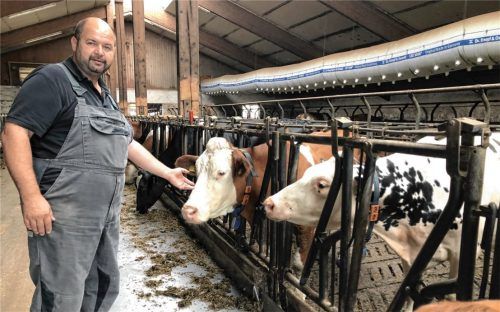 Josef Andres in seinem Laufstall: Die meisten seiner 70 Kühe kennt der neue Kreisvorsitzende des Bauernverbands mit Namen. Foto Duczek