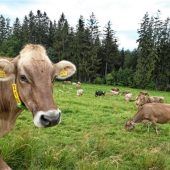 Die Zukunft liegt im regionalen Hofverkauf
