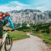 City-Bike, Trekkingrad und Co.