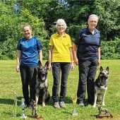 Schäferhunde legen Prüfungen ab