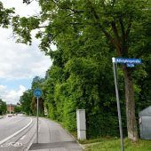 „Wald“ nur im Namen