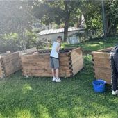 Ja, was wächst denn da?