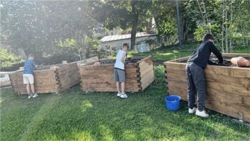 Pflücksalat wurde von den Schülern direkt im Hochbeet ausgesät. Foto re