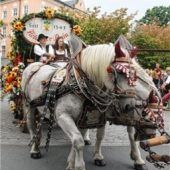 Von Reiterstaffelbis Hochrad