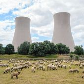 Die Energiekrise ist hausgemacht