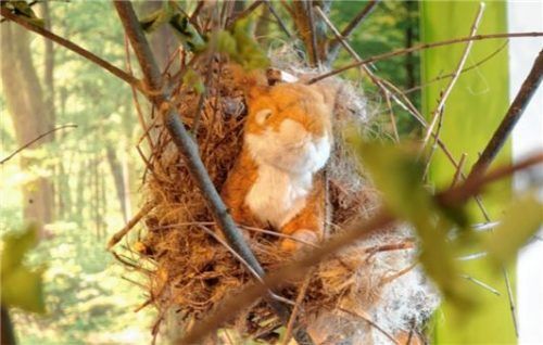Viele Dinge – wie hier dieses Eichhörnchen – entdecken die Besucher erst auf den zweiten Blick.