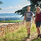 Paradies für Wanderer am Bodensee
