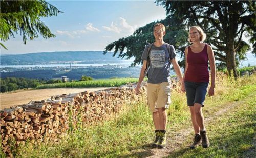 Vier der fünf aussichtsreichen und in beide Richtungen gut beschilderten „Radolfzeller Runden“ leiten Wanderer über den beeindruckenden Bodanrück. Fotos TSR GmbH / Kuhnle+Knödler