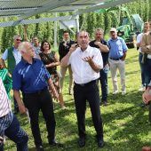 Photovolktaikanlage über Hopfengarten