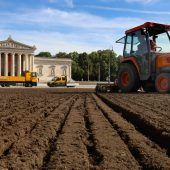 Königsplatz als furchiger Acker