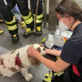 Rettung aus Rolltreppe