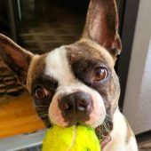 Brutalo-Angriff am Bahn-Aufzug