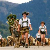 Das Ende des Almsommers