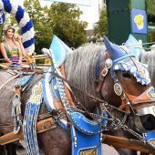 Streit um Wiesn-Pferde