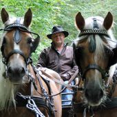 Die Rückkehr der Rösser