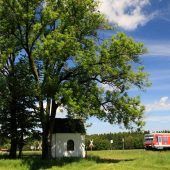 Südostbayernbahn mit zum Teil drastischen Verspätungen