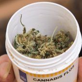 Cannabis auf Privatrezept