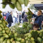 Zum Anbeißen – Der Bauernmarkt auf der Ludwigstraße