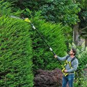 Die Hecke im Herbst trimmen