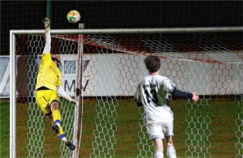 Beim Mehringer Führungstreffer war Priens Tormann Davor Subotic geschlagen. Foto Christian Butzhammer