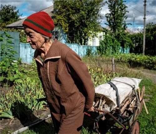 Die 82-jährige Liudmila Teresenko schleppt einen Karren mit Holz zum Heizen ihres Hauses, das sie aus einer zerstörten Schule in Isjum mitgenommen hat. Foto dpa