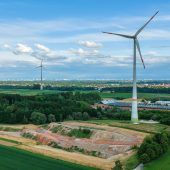 Energiewende scheitert an Fledermaus