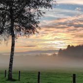 Warten auf den Altweibersommer