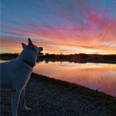 Atemberaubendes Abendrot