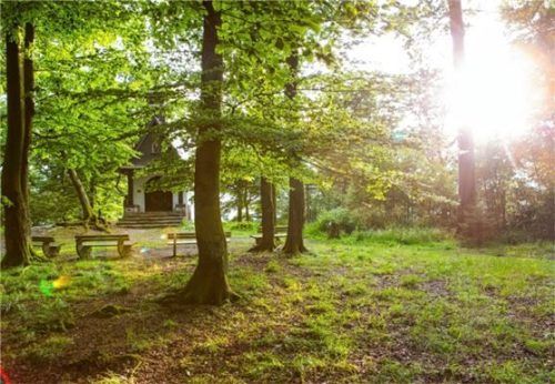 Bestattungswälder befinden sich teilweise auch in Forsten, die als nachhaltig zertifiziert sind. Foto djd/PEFC