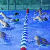 Vom Mögen und vom Können