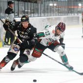 Nur ein Punkt für Starbulls