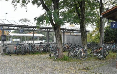 Noch stehen die Fahrräder in normalen Bodenständern oder an die Robinien gelehnt.