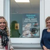 Energiekrise bedroht das Tierheim
