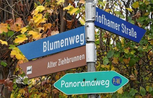 Tempo 30 anstatt Tempo 50: Der Blumenweg, die Bergstraße und die abzweigenden Stichstraßen sollen in Zukunft alle in eine 30er-Zone umgewandelt werden. Foto Schlecker