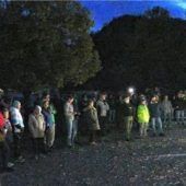 „Der Wolf passt nicht in unsere Region“