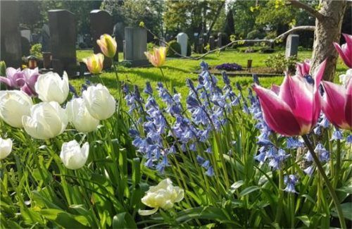 Wer möchte, nutzt die Gedenktage im November, um die Grundlage für einen blühenden Frühling zu legen. Foto fluwel.de