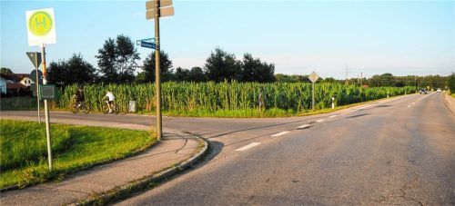 Wohnungen statt Maisfeld: Auf dieser Fläche an der Kreisstraße zwischen Wendelstein- und Breitensteinstraße plant die Gemeinde Großkarolinenfeld ein Wohngebiet. Foto Heinz