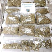 Drogenhändlerring gesprengt