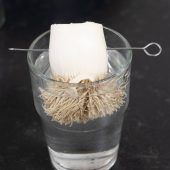 Das schont den Geldbeutel