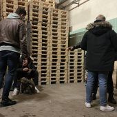 Gerettet aus der Hundehölle