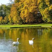 Ein Bad im Herbst