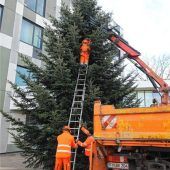 Es weihnachtet  in Kolbermoor