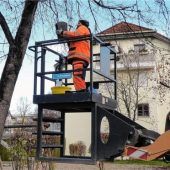 Wohnraum für Fledermäuse und Vögel