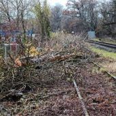 Deutsche Bahn schneidet Evakuierungszonen frei