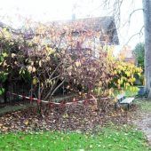 Jonglieren mit Jahreszeiten