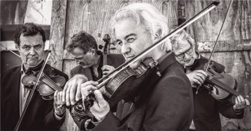 Das Modern String Quartet führt in neue Dimensionen. Foto modern string quartet