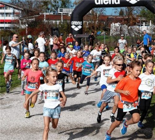 Der Massenstart bei den jüngsten Läufern über 650 Meter.Foto Ludwig Stuffer