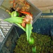 Biotonne: Entscheidung gut überdenken
