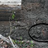 Fliegerbombe in Pfraundorf noch in der Nacht entschärft