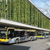 Mehr Grün für besseres Stadtklima
